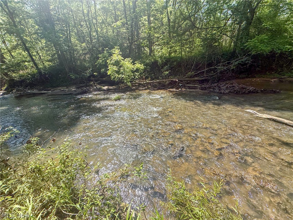 St Rt 555 Property Photo 31