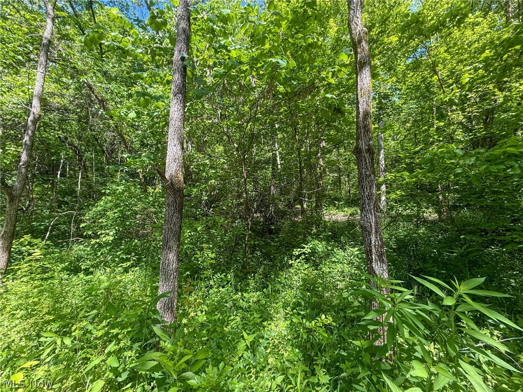 St Rt 555 Property Photo 33