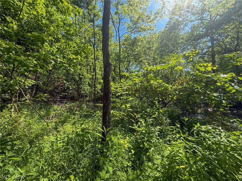 St Rt 555 Property Photo 34