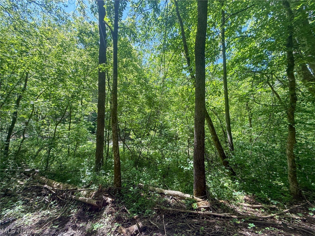 St Rt 555 Property Photo 35