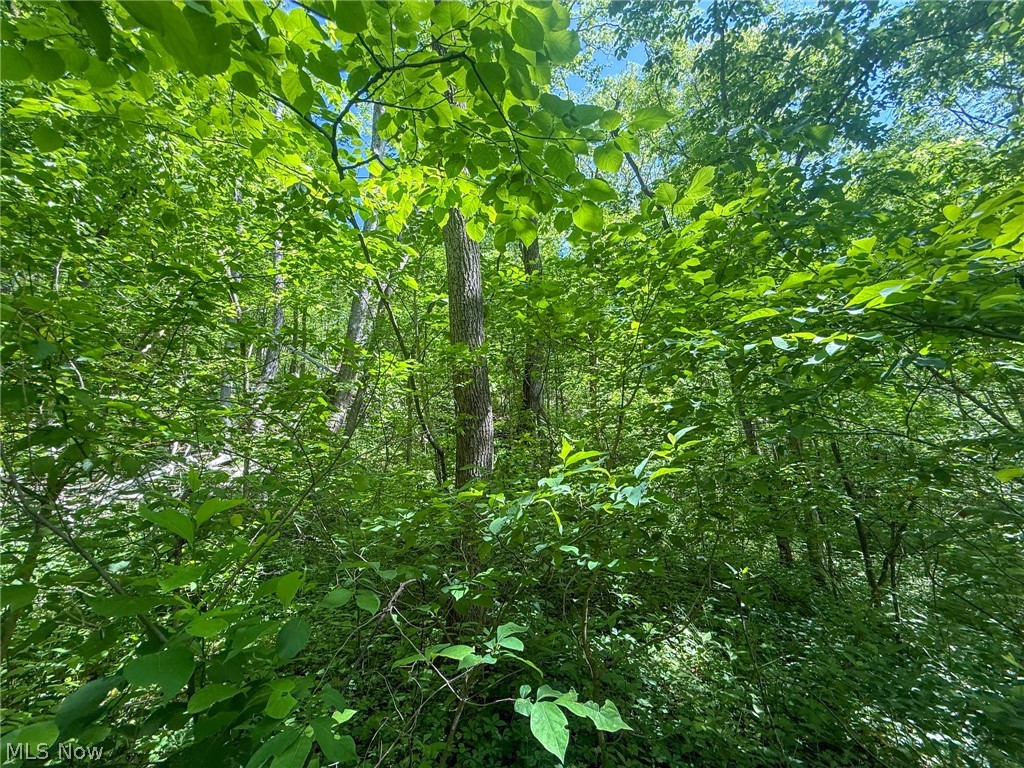St Rt 555 Property Photo 36