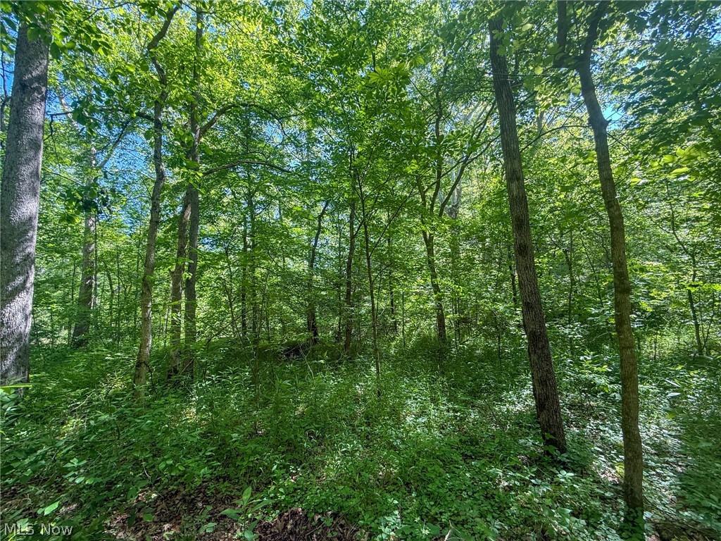 St Rt 555 Property Photo 44