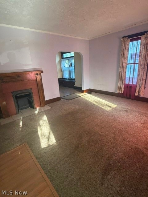 35 Bentley Avenue Property Photo 8