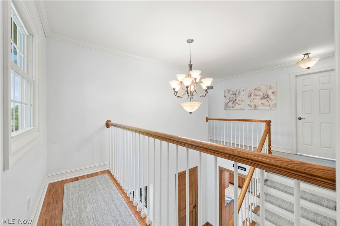 3871 Greentree Road Property Photo 30