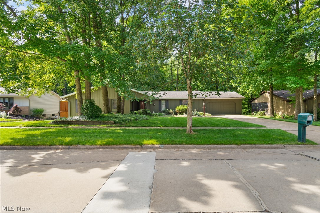 1565 Willoughby Drive Property Photo 3