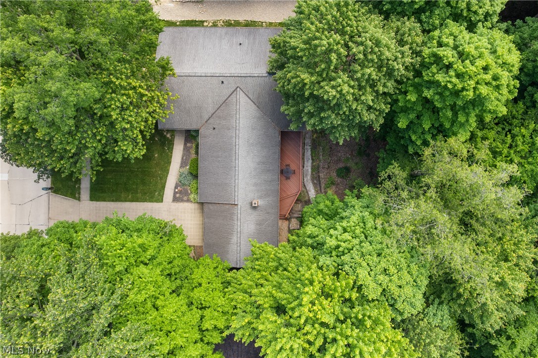 1565 Willoughby Drive Property Photo 38