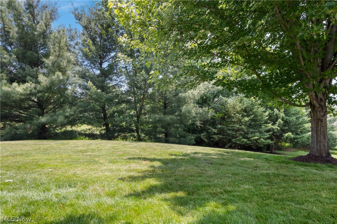 9250 Forest Trail Avenue Nw Property Photo 31