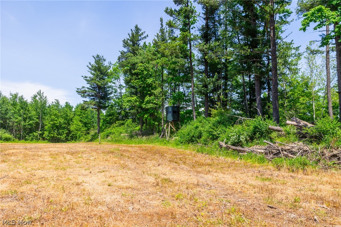 Sampson Drive Property Photo 8