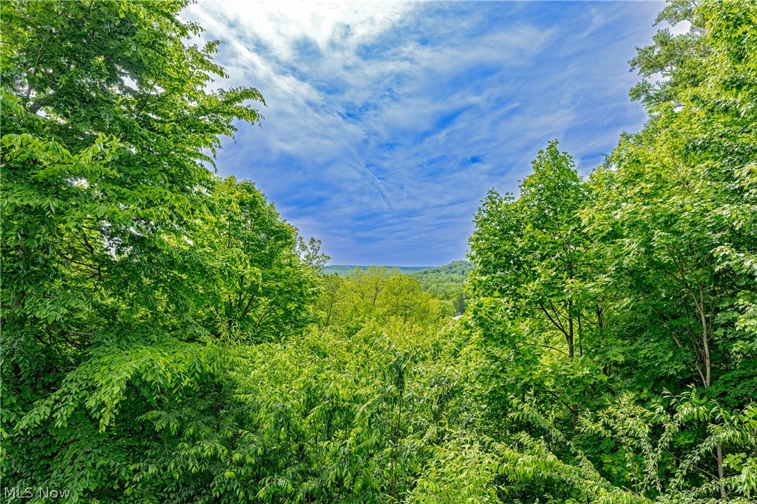 5031 Stone Ridge Drive Property Photo 15