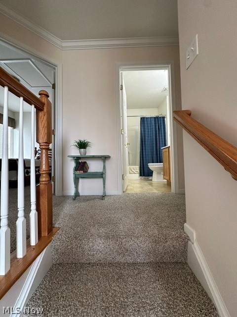 566 Colonial Drive Property Photo 19