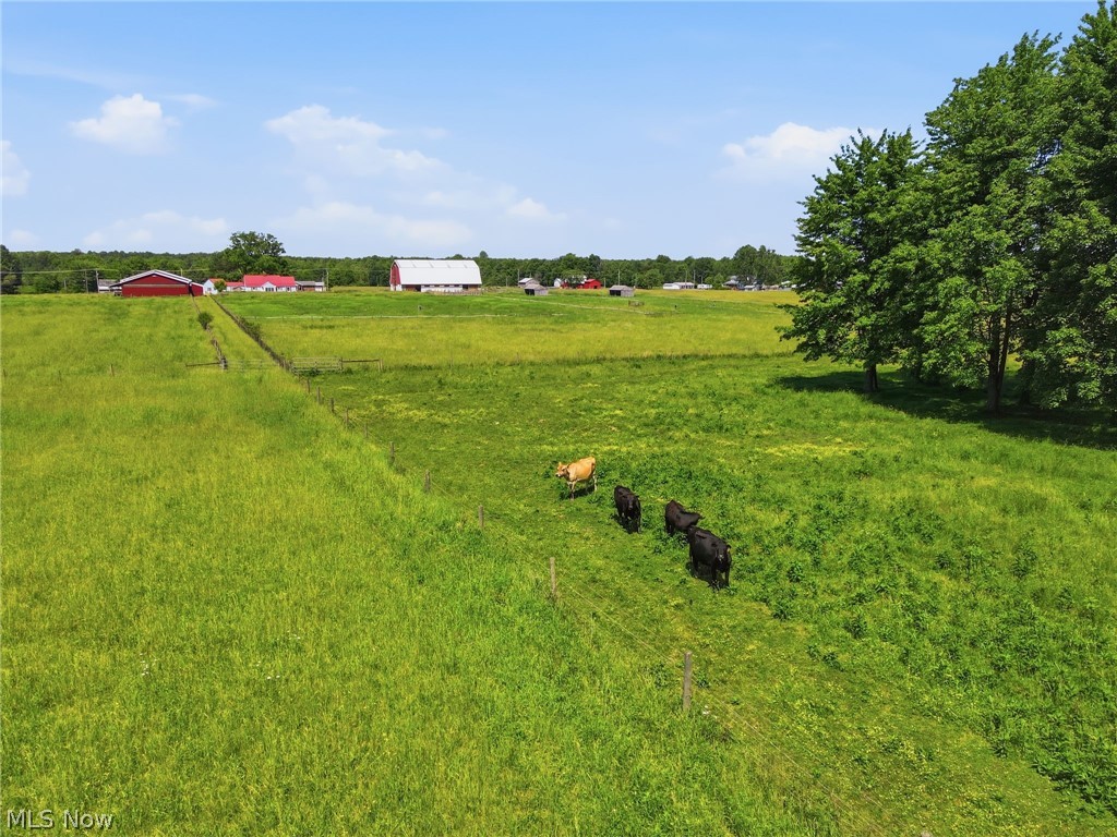 6738 State Route 7 Property Photo 43