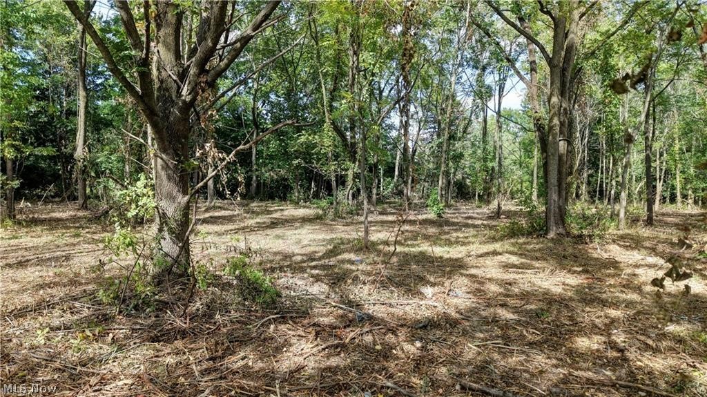 3083 Massillon Road Property Photo 5