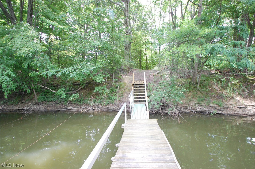 10029 Cummins Drive Property Photo 20