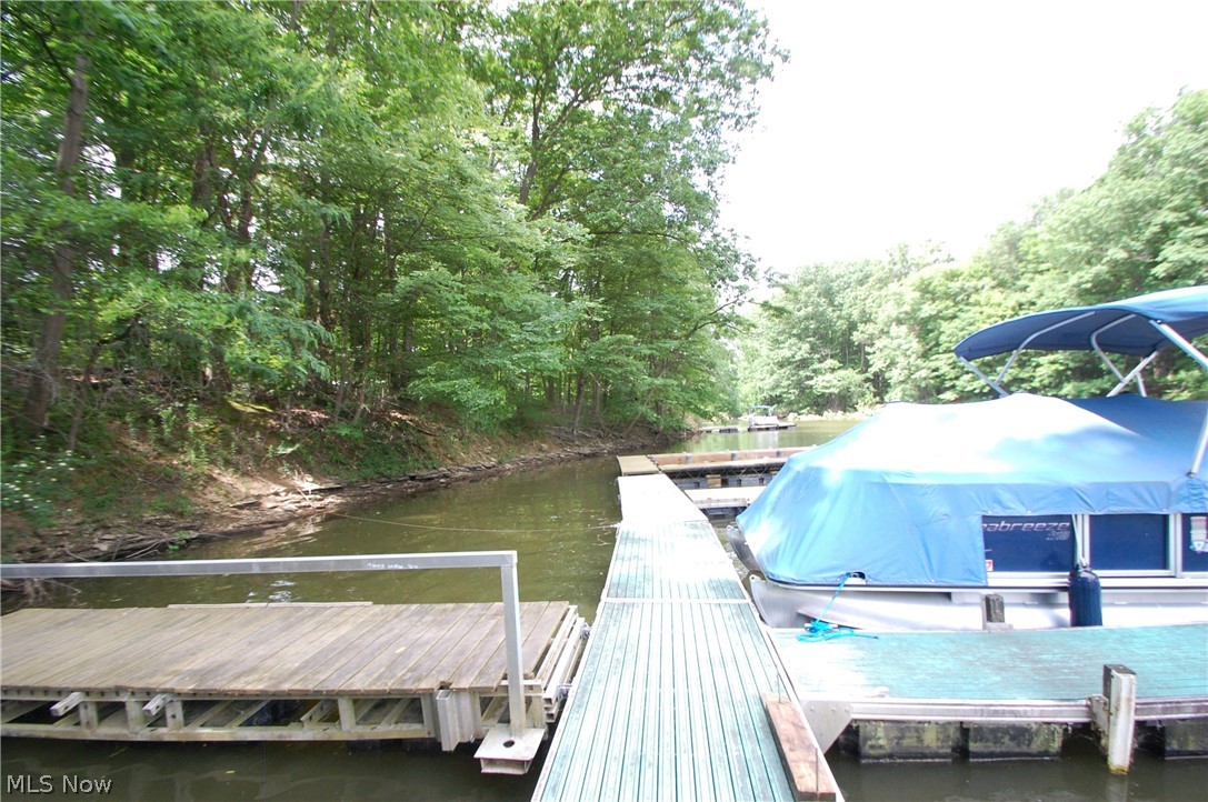 10029 Cummins Drive Property Photo 21