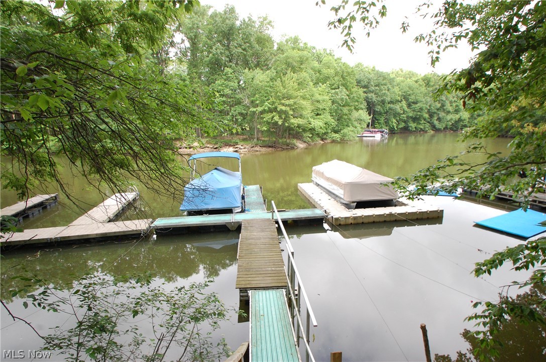 10029 Cummins Drive Property Photo 22