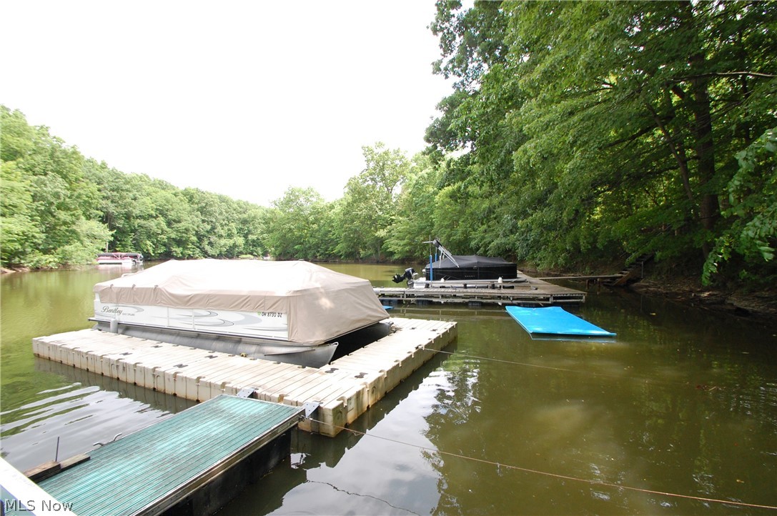 10029 Cummins Drive Property Photo 23