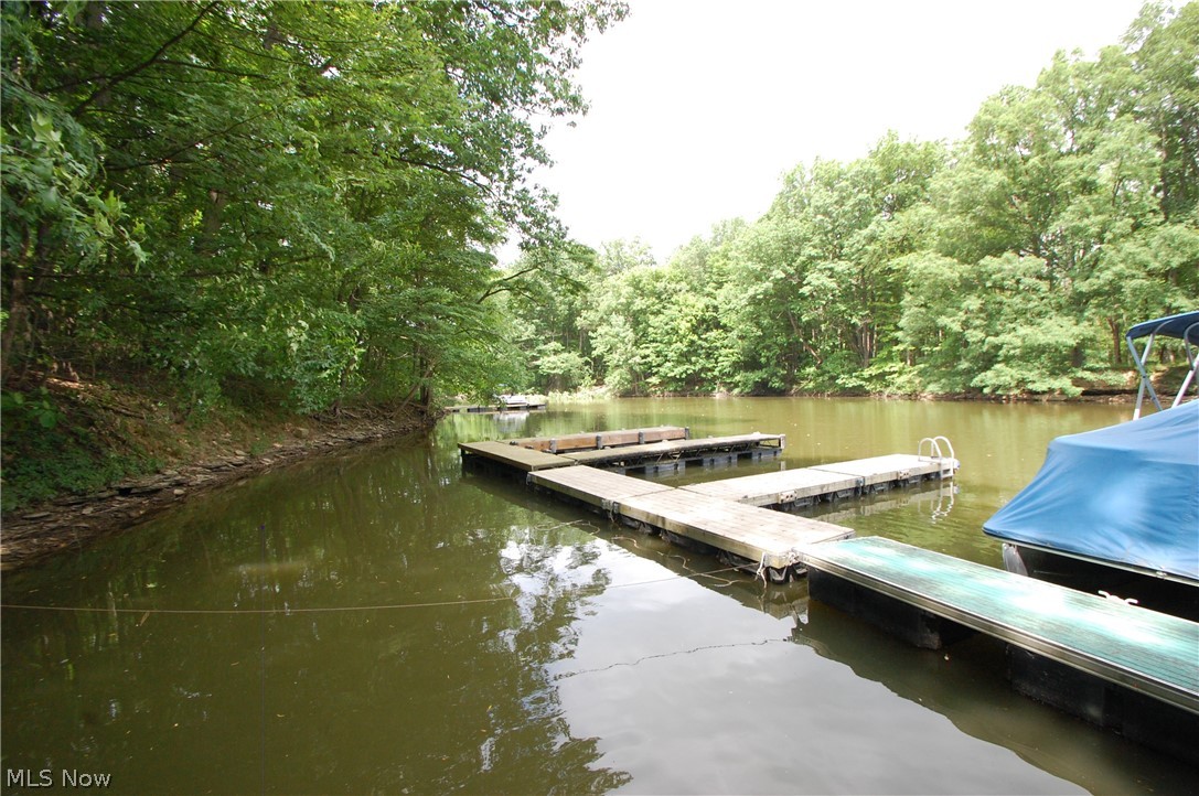 10029 Cummins Drive Property Photo 24