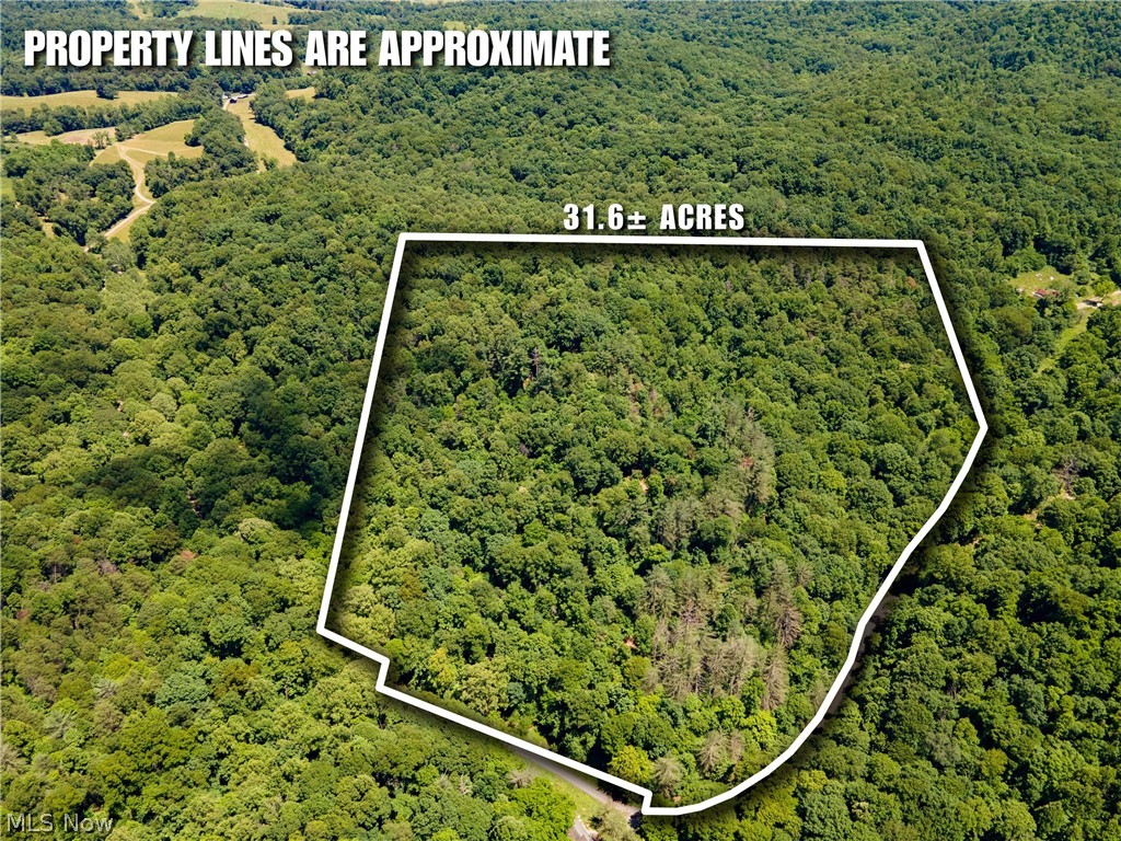 0 Long Hollow Road Property Photo 1