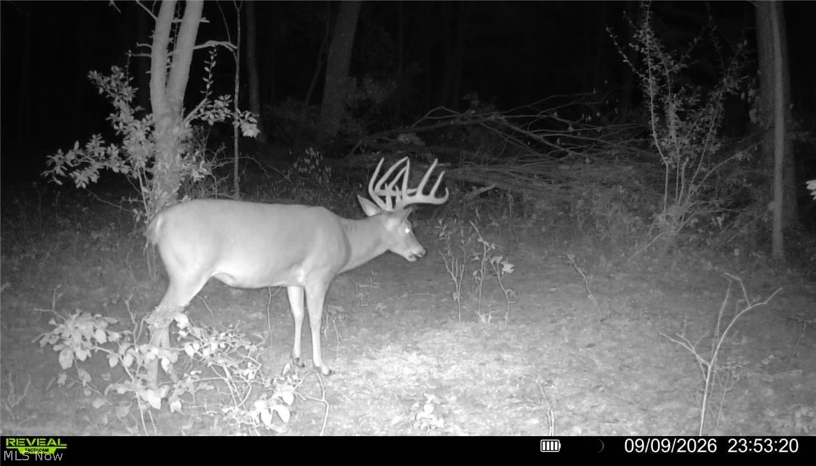 0 Long Hollow Road Property Photo 2