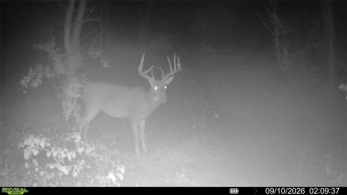 0 Long Hollow Road Property Photo 3