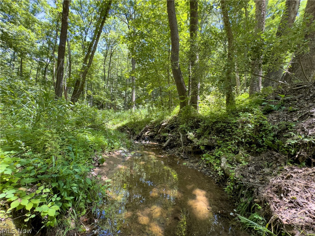 0 Long Hollow Road Property Photo 4