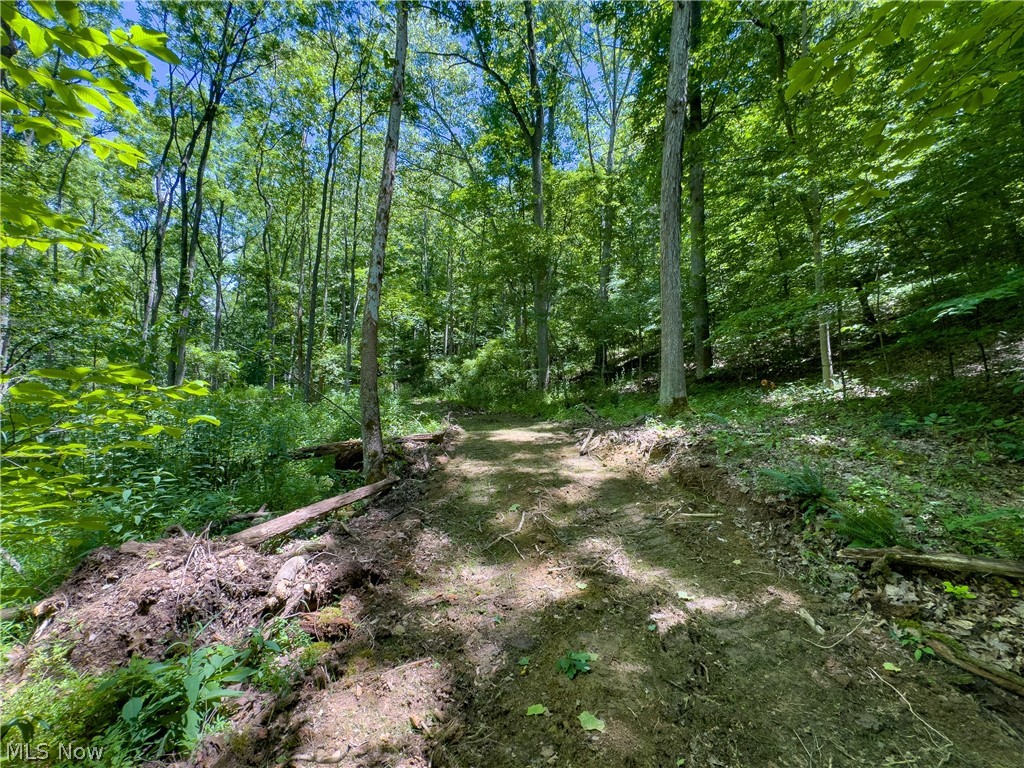 0 Long Hollow Road Property Photo 5