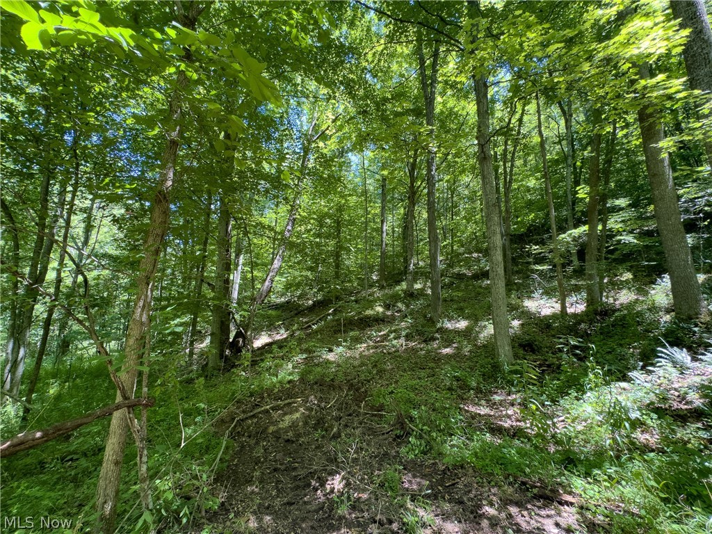 0 Long Hollow Road Property Photo 6