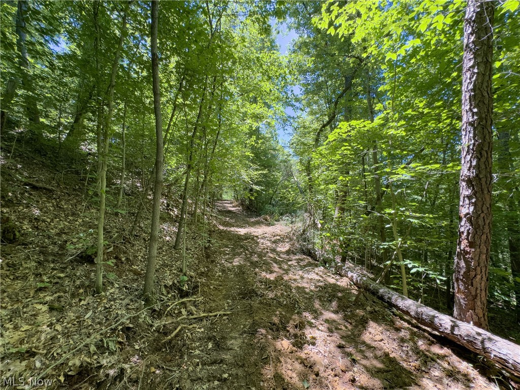 0 Long Hollow Road Property Photo 7