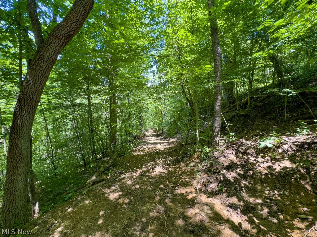 0 Long Hollow Road Property Photo 8