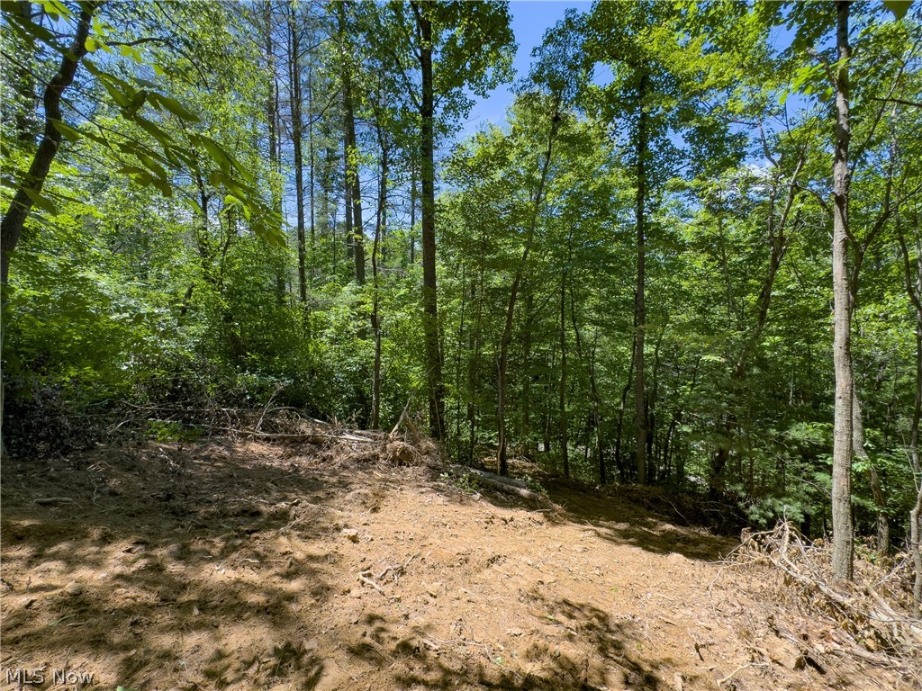 0 Long Hollow Road Property Photo 9