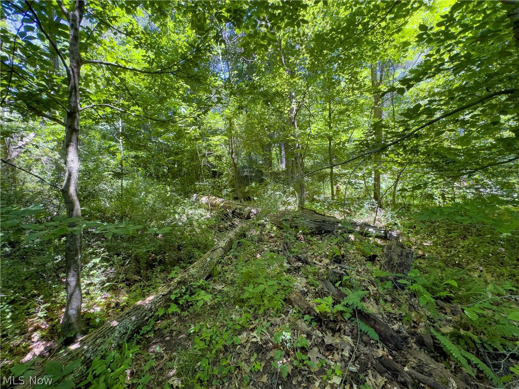 0 Long Hollow Road Property Photo 10