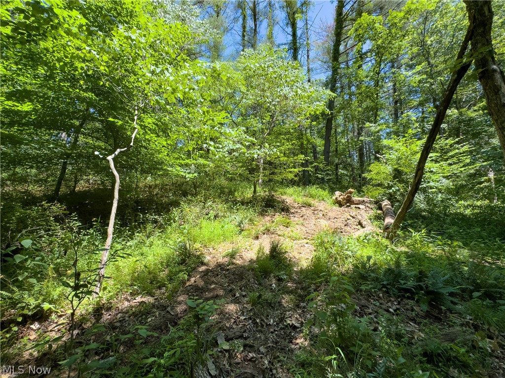0 Long Hollow Road Property Photo 11