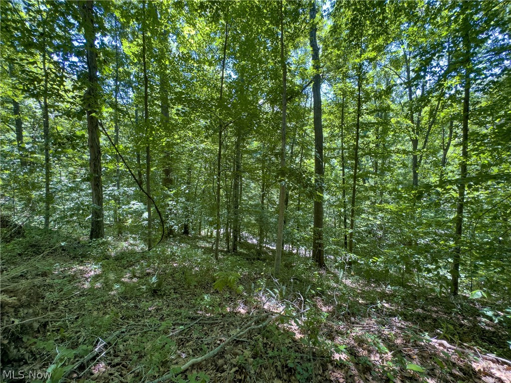 0 Long Hollow Road Property Photo 12