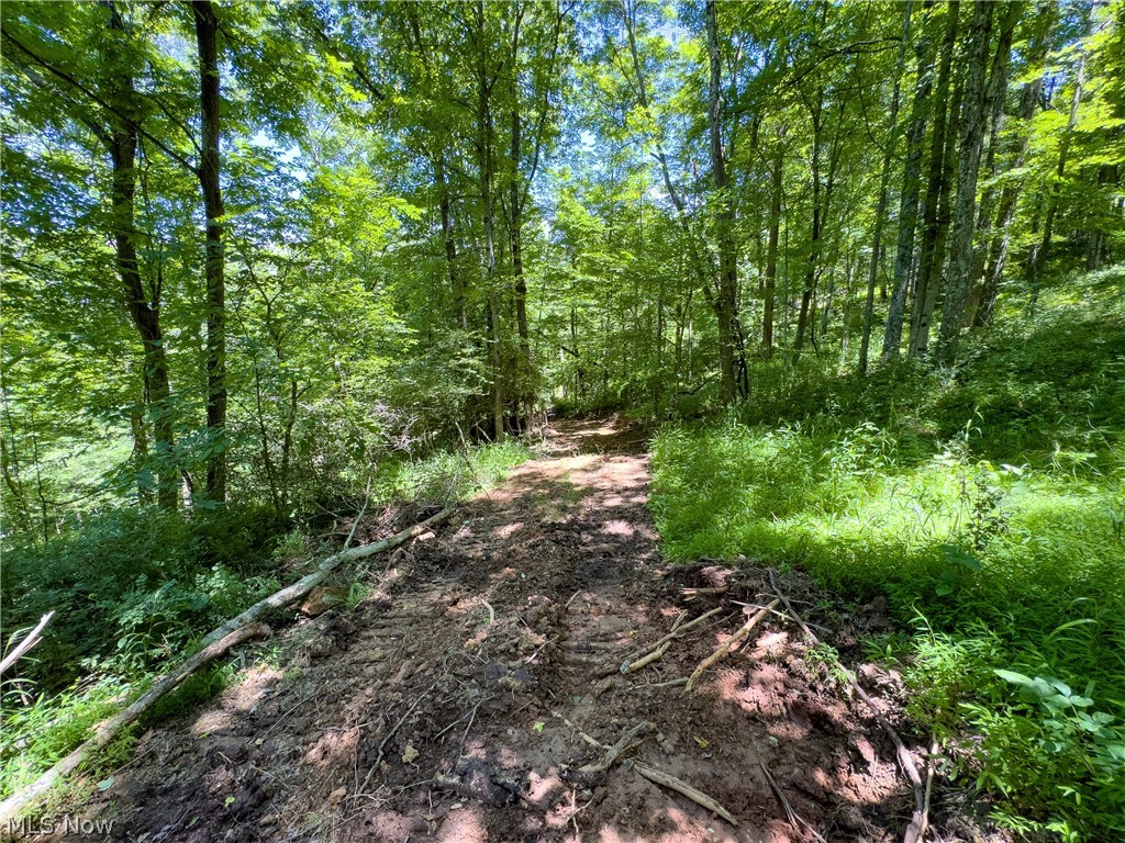 0 Long Hollow Road Property Photo 13