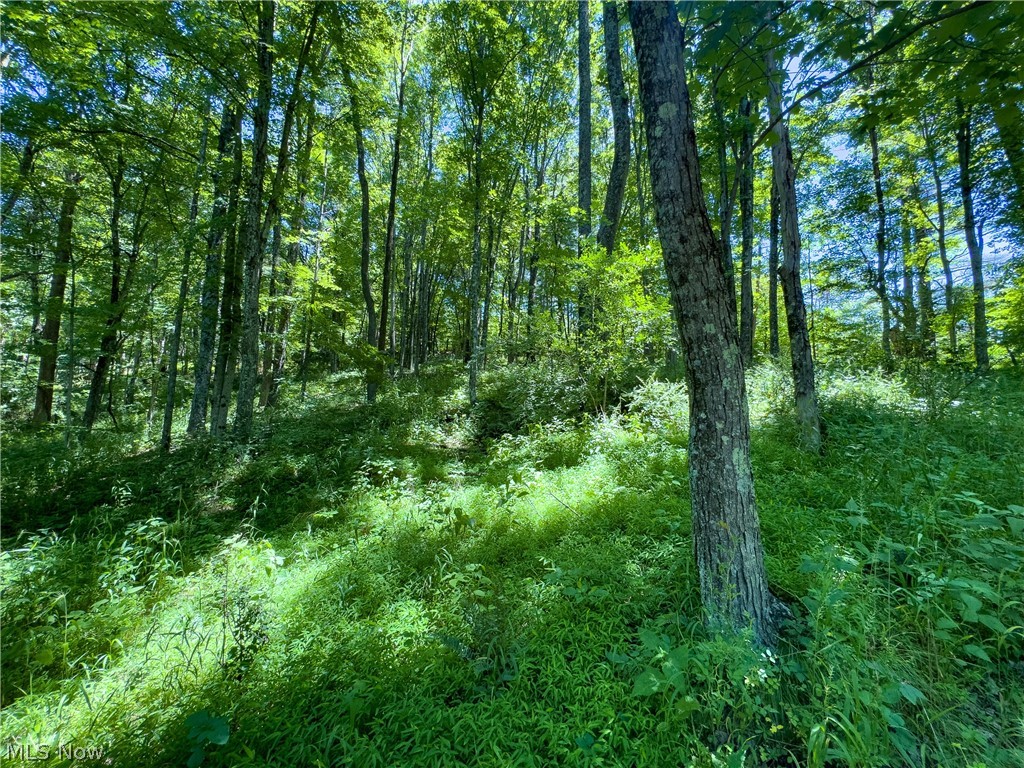0 Long Hollow Road Property Photo 14