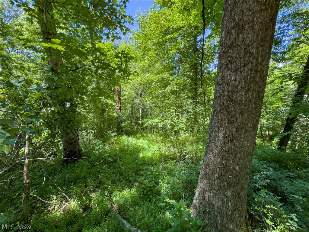 0 Long Hollow Road Property Photo 15