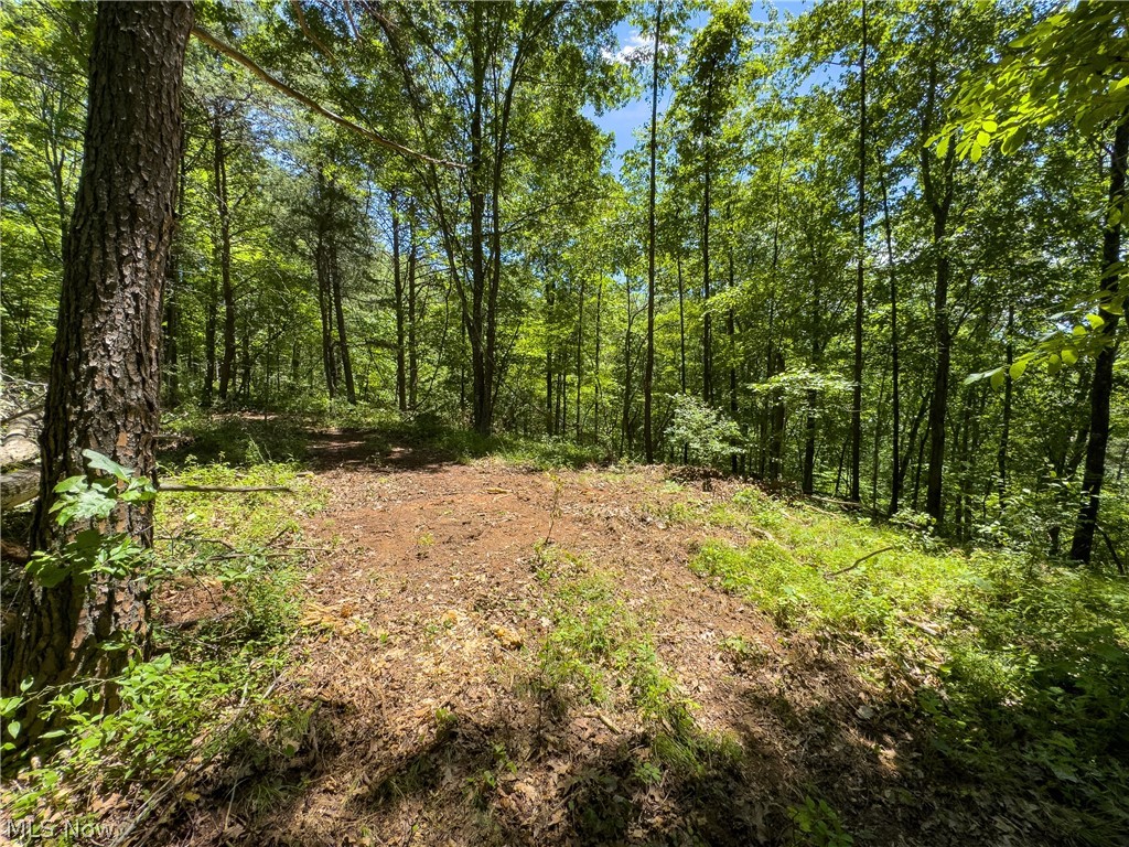 0 Long Hollow Road Property Photo 16