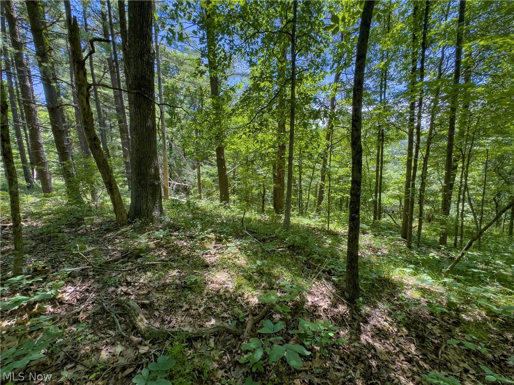 0 Long Hollow Road Property Photo 17
