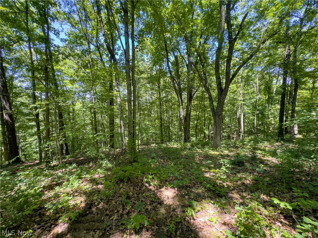 0 Long Hollow Road Property Photo 18