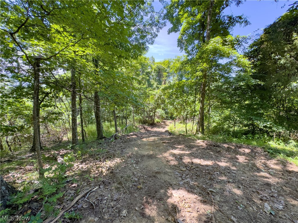 0 Long Hollow Road Property Photo 19