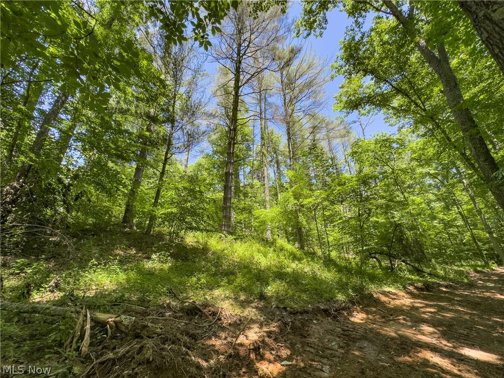 0 Long Hollow Road Property Photo 20