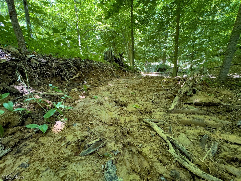 0 Long Hollow Road Property Photo 21