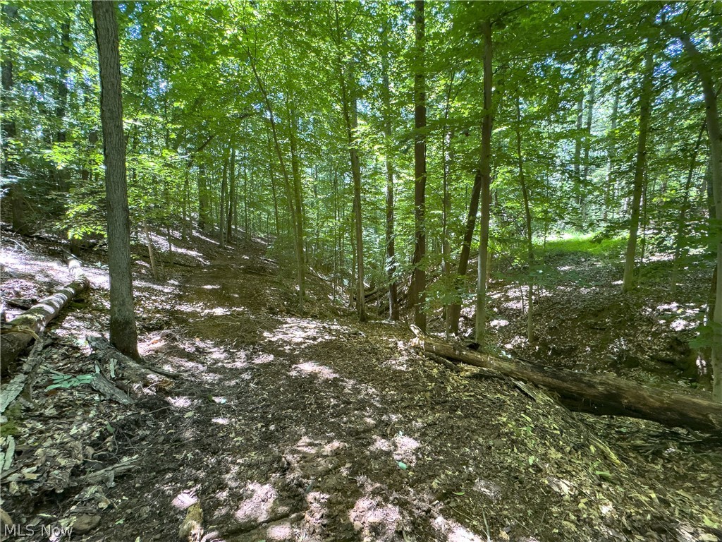 0 Long Hollow Road Property Photo 22