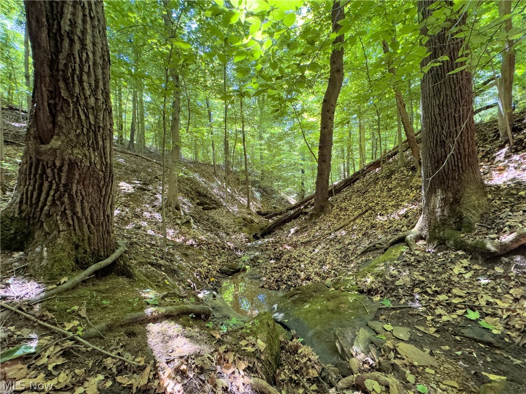 0 Long Hollow Road Property Photo 23
