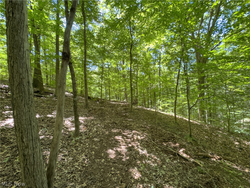 0 Long Hollow Road Property Photo 24