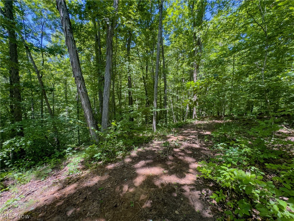 0 Long Hollow Road Property Photo 25