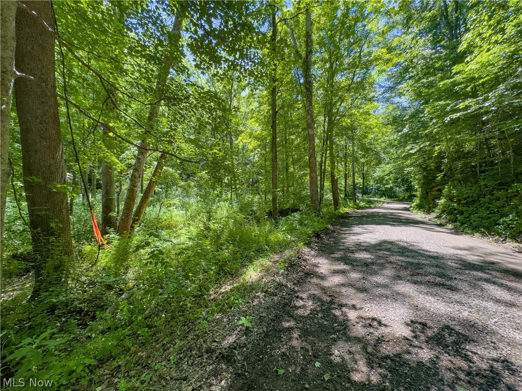 0 Long Hollow Road Property Photo 26