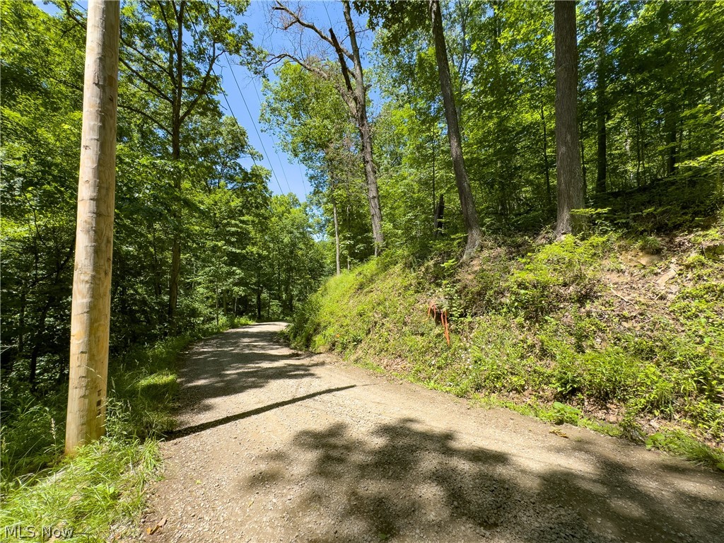 0 Long Hollow Road Property Photo 27
