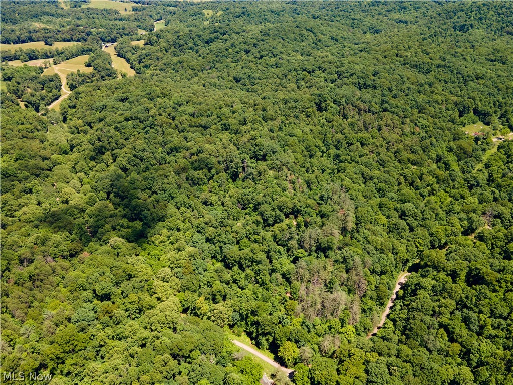 0 Long Hollow Road Property Photo 28
