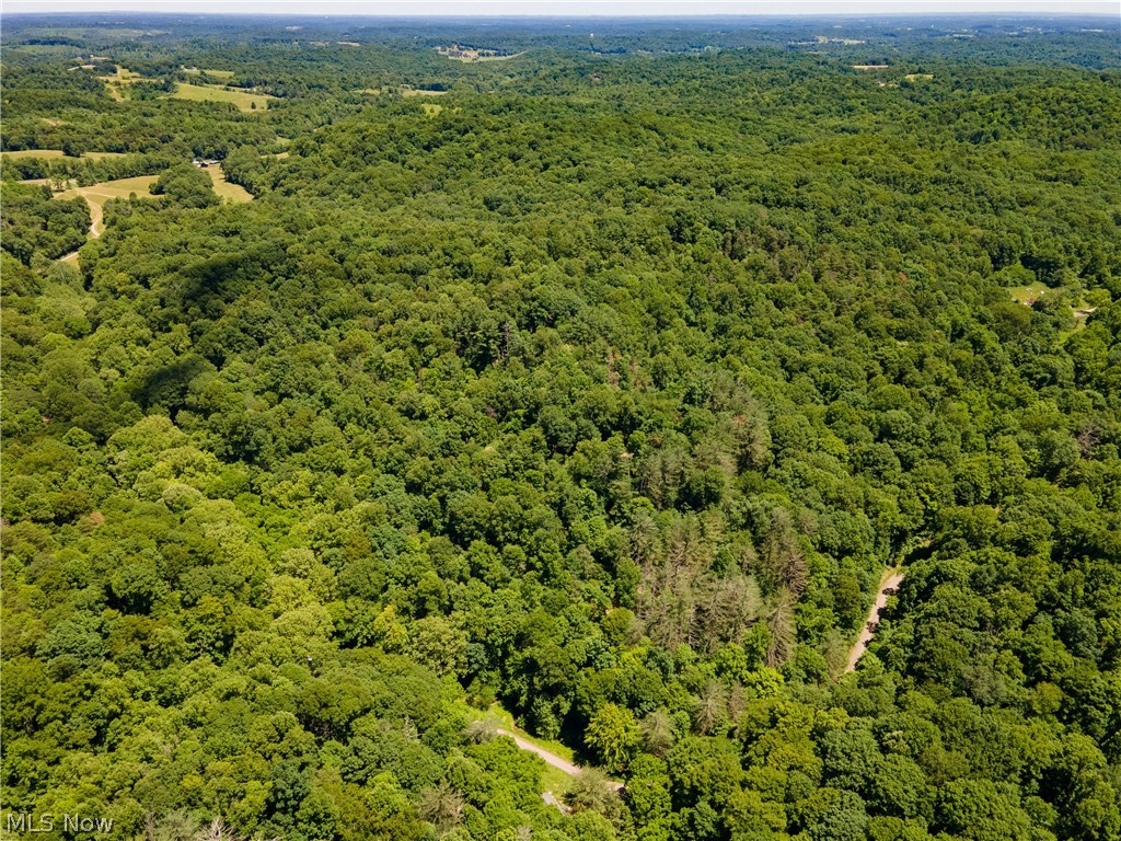 0 Long Hollow Road Property Photo 29